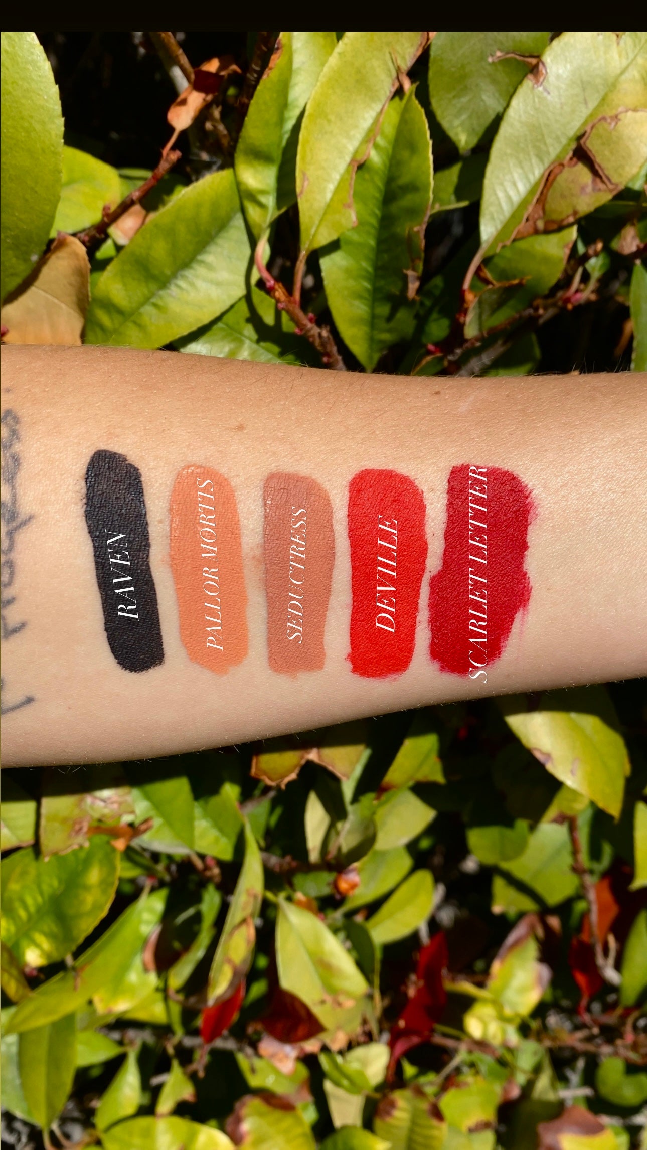 Scarlet Letter Liquid Lip